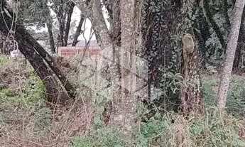 Imagem 4: Terrebo de esquina com 1084m² Canela