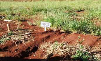 Imagem 2: Vendo terreno jardim Vasconcelos Hortolândia Sp aceito oferta