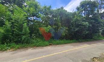 Imagem 3: Terreno urbano de 11.000 m com nascente e bosque a 14 km de Curitiba