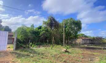 Imagem 2: Terreno em Morros Ma