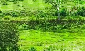 Imagem 2: Fazenda de 131 tarefas - Siriri