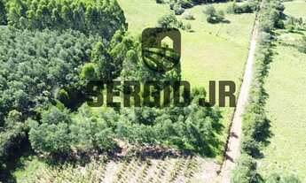 Imagem 3: Área de terra com 6.350m² em Triunfo