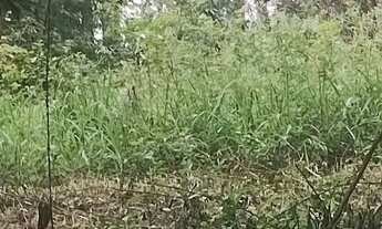 Imagem 7: Vendo terreno bairro Piratuba, ou troco por terreno, casa em Sorocaba