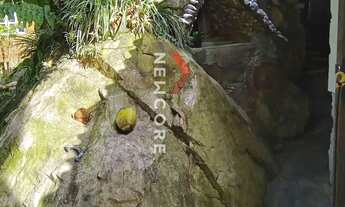 Imagem 7: Casa em Rua Arcanjo Cândido da Silva - Praia de Fora - Palhoça/SC