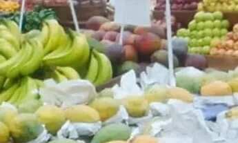 Imagem 7: Lote em Rua Uruguaiana - Vila Alzira - Santo André/SP