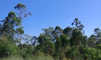 Imagem 5: Terrenos para venda possui 1000 metros quadrados em Centro (São João Novo) - São Roque - S