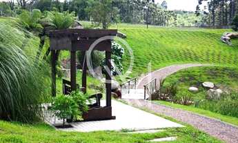 Imagem 4: Terreno à venda Pedancino Caxias do Sul/RS
