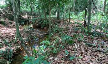 Imagem: CHÁCARA QUITADA DE 6.000 M²