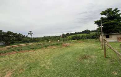 Imagem 5: Vendo sítio dos sonhos!!!