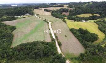 Imagem: Terreno / Chácara em Araucária / Thomaz