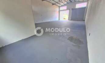 Imagem 3: Galpão comercial disponível para locação no bairro Jardim Brasília