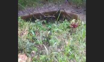 Imagem 2: Chácara em Juquitiba