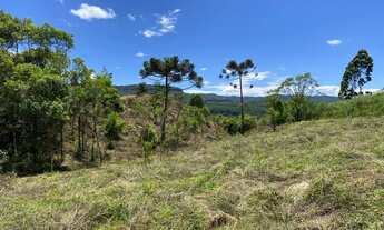Imagem 3: Terreno com 3,9 hectares