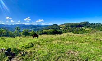 Imagem 5: Sitio com 6 Hectares em Três Coroas na Localidade de Figueira na Serra Gaúcha