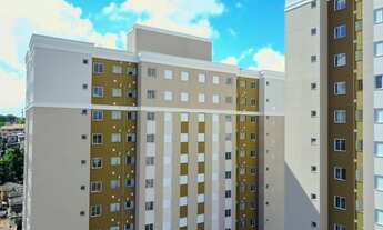 Imagem 4: APARTAMENTO - PAULICÉIA - SP