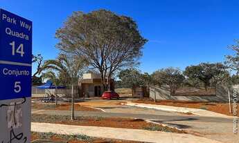 Imagem 7: SMPW Q 14 com área verde