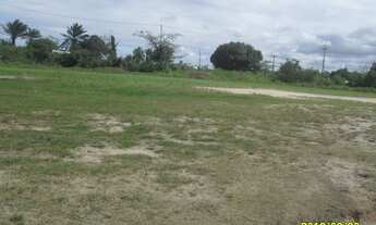 Imagem 4: Vendo área plana com 5.700m² no Jiquiá, rua calçada próximo a Rua São Miguel - Recife - P