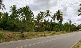 Imagem 2: Terreno à venda, 16640 m² por R$ 2.450.000,00 - Praia de Tibau - Tibau do Sul/RN