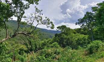 Imagem 6: Sitio com Casa e Riacho em São Francisco de Paula na Localidade da Carapina