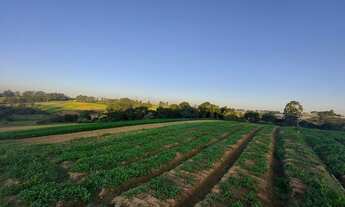 Imagem 2: Terrenos com Vista Excelente e fica na beira do Asfalto Ibiúna SP