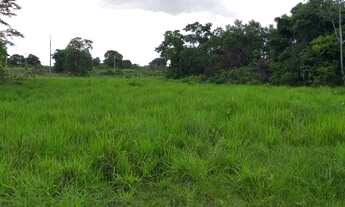 Imagem 4: Fazenda de 319ha em a 40km de Cuiabá em N.S do Livramento