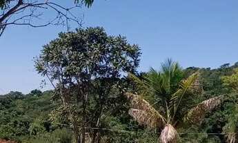 Imagem: Fazendinha 20.000 m² em Florestal/MG