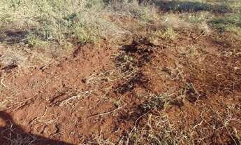 Imagem 6: Chácara / sítio Jaraguari bom fim asfalto 31ha