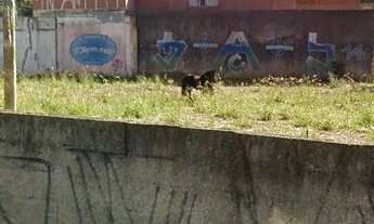 Imagem 3: Salão comercial para alugar, 73 m² por R$ 3.000/mês - Jardim - Santo André/SP