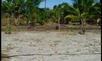 Imagem 3: Terreno Terreno / lote com venda por R$40.000