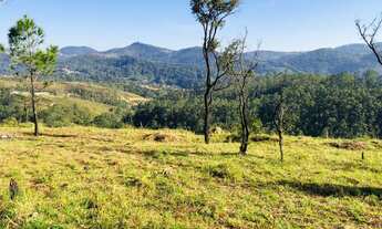 Imagem 4: Lote/Terreno para venda com 1000 metros quadrados em Barreiro - Mairiporã - SP