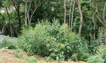 Imagem 2: Lindíssimo terreno para Chácara