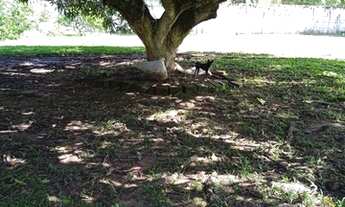 Imagem 4: Lotes em Aldeia Terreno / lote com venda por R$300.000