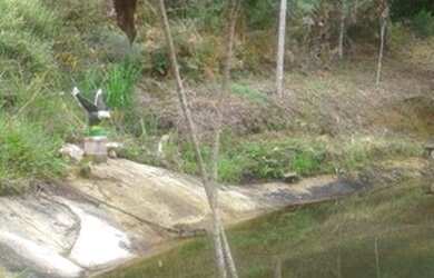 Imagem 4: Sítio com 2 dormitórios à venda, 25000 m² por R$ 250.000,00 - Posse - Petrópolis/RJ