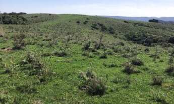 Imagem 7: AR 2741) Área Rural - Interior da cidade de Caçapava