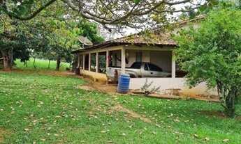 Imagem 5: Fazenda de 20 alqueires em Hidrolândia