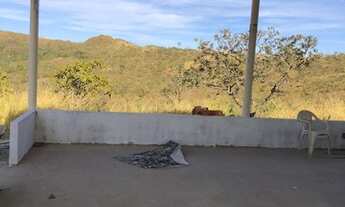 Imagem 7: Vende-se Fazenda