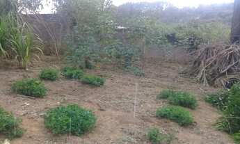 Imagem 4: SAO ROQUE - Terreno Padrão - CENTRO (CANGUERA