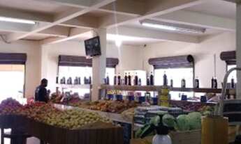 Imagem 4: Vendo frutaria no sítio cercado