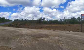 Imagem 4: Terreno comercial as margens da BR 101