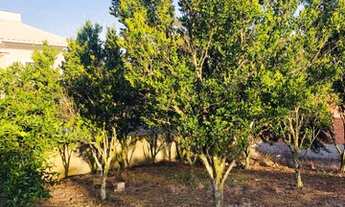 Imagem: Lote em cocal do sul