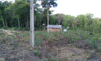 Imagem: TERRAS NA REGIÃO DE SANTA MARIA DO TOCANTINS