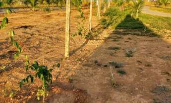 Imagem 2: Vende-se chácara !!! Ótima oportunidade de negócio !