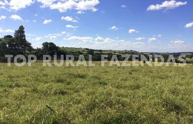 Imagem 4: Sitio 27 Alqueires, Próximo Avare-Sp