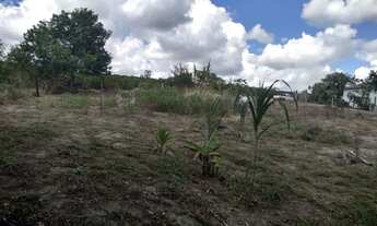 Imagem 3: Vendo lote 450 metros quadrados