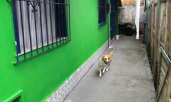 Imagem 3: Boa casa bem localizada