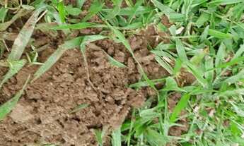 Imagem 2: FAZENDA COM 72 HECTARES EM ARAXÁ MG