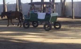 Imagem 3: Imóvel para venda tem 750 metros quadrados em - Cruz do Espírito Santo - Paraíba