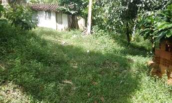 Imagem 6: Sítio a venda Fazenda / sítio com venda por R$150.000