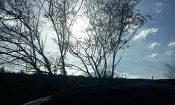 Imagem: Imperdível lote