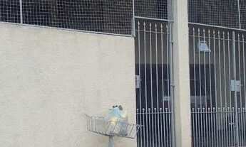 Imagem: Sobrado 194 metros bairro Palmares Santo